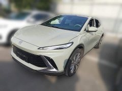 Buick E4 Zhenxiang Edition - ფოტო 1
