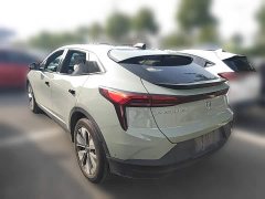 Buick E4 Zhenxiang Edition - ფოტო 6