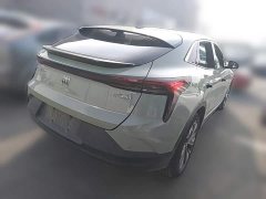 Buick E4 Zhenxiang Edition - ფოტო 9