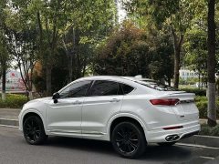 Geely Xingyue S 2.0T Diesel DCT Two-Wheel Drive Lightning Edition - ფოტო 5