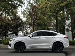 Geely Xingyue S 2.0T Diesel DCT Two-Wheel Drive Lightning Edition - ფოტო 6