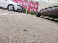 FAW Red Flag EH7 690 Smart Choice Edition - ფოტო 20