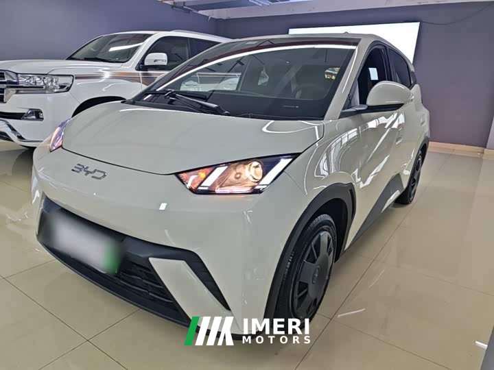BYD Seagull 305km Vitality Edition