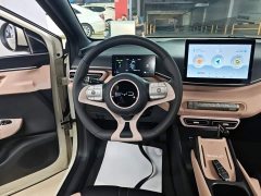 BYD Seagull 305km Vitality Edition - ფოტო 10