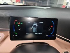 BYD Seagull 305km Vitality Edition - ფოტო 11