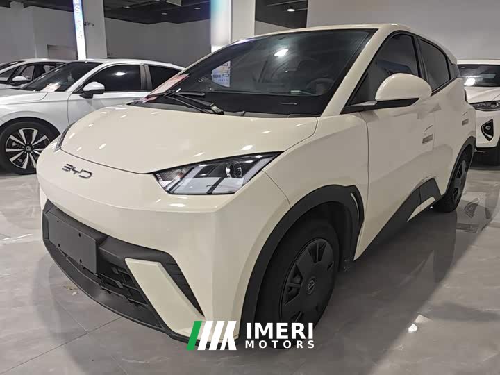BYD Seagull Vitality Edition - ავტომობილი ჩინეთიდან