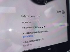 Tesla Model Y Rear-Wheel Drive - ფოტო 11