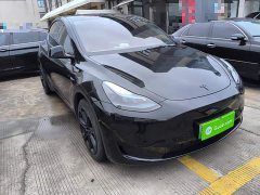 Tesla Model Y Rear-Wheel Drive - ფოტო 3
