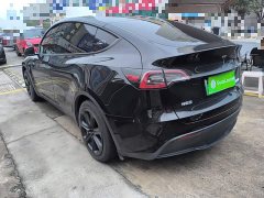 Tesla Model Y Rear-Wheel Drive - ფოტო 4