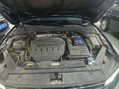 Volkswagen Magotan 330TSI DSG Advance - ფოტო 19