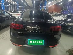 Volkswagen Magotan 330TSI DSG Advance - ფოტო 5