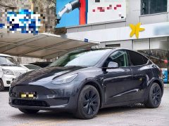 Tesla Model Y Rear-Wheel Drive - ფოტო 1