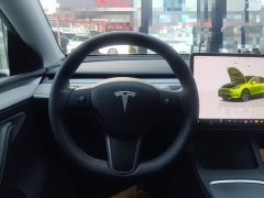 Tesla Model Y Rear-Wheel Drive - ფოტო 10