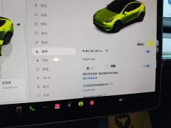 Tesla Model Y Rear-Wheel Drive - ფოტო 11