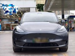 Tesla Model Y Rear-Wheel Drive - ფოტო 2