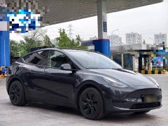 Tesla Model Y Rear-Wheel Drive - ფოტო 3