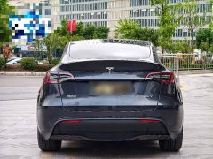 Tesla Model Y Rear-Wheel Drive - ფოტო 5