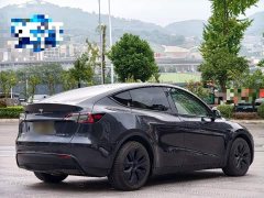 Tesla Model Y Rear-Wheel Drive - ფოტო 6