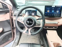 BYD Seagull Vitality Edition - ფოტო 10