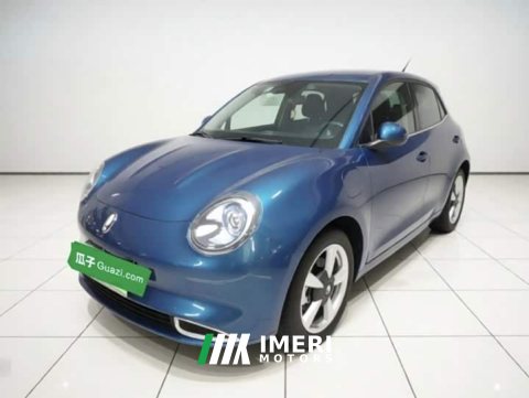 2022 ORA Good Cat 400km Standard Range Venus Edition LFP Battery - ავტომობილი ჩინეთიდან