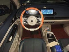 ORA Good Cat 400km Standard Range Venus Edition LFP Battery - ფოტო 14