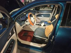 ORA Good Cat 400km Standard Range Venus Edition LFP Battery - ფოტო 7