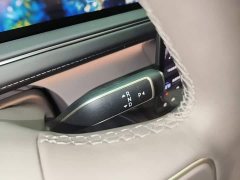NIO ES8 Six-Seat Executive Luxury Edition - ფოტო 13