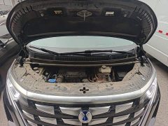 Denza D9 DM-i 980 Four-Wheel Drive Flagship - ფოტო 19