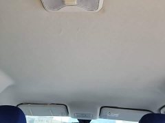 Beijing Ruisheng Wangpai M7 2.0L Automatic Long Wheelbase Creative Enjoy 7-Seater - ფოტო 17