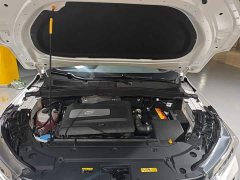 FAW Besturn T77 1.5T Automatic Luxury - ფოტო 19