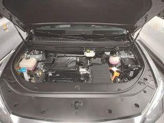 BYD Song Pro New Energy Champion Edition DM-i 110KM Excellence - ფოტო 19