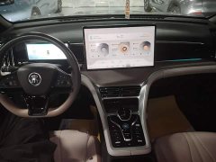 BYD Song Pro New Energy Champion Edition DM-i 110KM Excellence - ფოტო 9