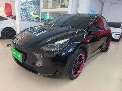 Tesla Model Y Rear-Wheel Drive - photo 1