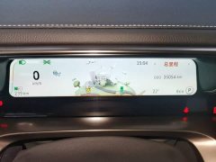 smart #1 Pulse Heartbeat Edition - ფოტო 11