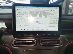 smart #1 Pulse Heartbeat Edition - ფოტო 12