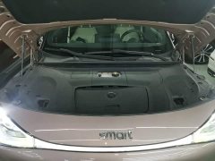 smart #1 Pulse Heartbeat Edition - ფოტო 19
