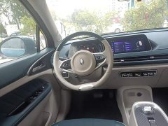 ORA Good Cat 400km Standard Range Venus Edition LFP Battery - ფოტო 14