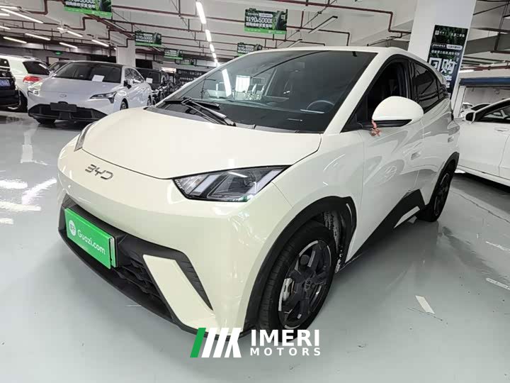 BYD Seagull Glory Edition 405km Flying Edition - ავტომობილი ჩინეთიდან