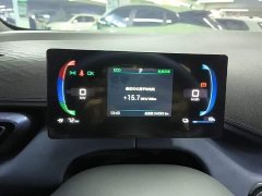 BYD Seagull Glory Edition 405km Flying Edition - ფოტო 11