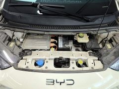 BYD Seagull Glory Edition 405km Flying Edition - ფოტო 19