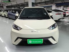 BYD Seagull Glory Edition 405km Flying Edition - ფოტო 2