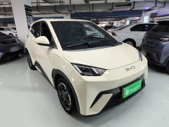 BYD Seagull Glory Edition 405km Flying Edition - ფოტო 3