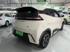 BYD Seagull Glory Edition 405km Flying Edition - ფოტო 6