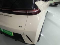 BYD Seagull Glory Edition 405km Flying Edition - ფოტო 7