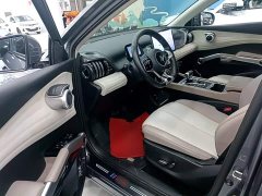 BYD Yuan Plus Champion Edition 510KM Transcendent - ფოტო 15