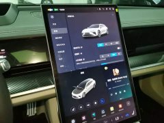 Neta S Shooting Brake Extended Range 300 Standard - ფოტო 8