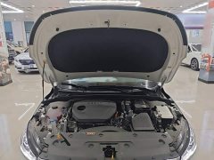 Geely Emgrand 4 Million Commemorative Edition 1.5L CVT Excellence - ფოტო 19