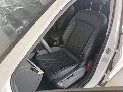Volkswagen Tiguan L Outstanding Edition 300TSI Automatic FWD Dragon Ascendant Version - ფოტო 14