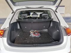 Volkswagen Tiguan L Outstanding Edition 300TSI Automatic FWD Dragon Ascendant Version - ფოტო 18