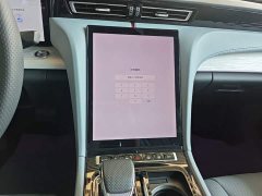 FAW Red Flag H5 PHEV 170 Super Hybrid Edition - ფოტო 12